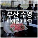 수영 블루리본맛집 마이클어반팜테이블ㅣ문어감자 필수주문 내돈내산 후기