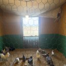 서운농장 이미지