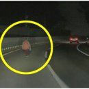 국도상사 이미지