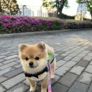 뿌스러기 이미지