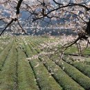 박경리 토지길 이미지