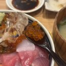 일본 후쿠오카 여행 쇼쿠도미츠 카이센동 후기 야나기바시 시장 혼밥 후기