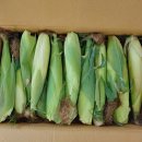 옥수농산 이미지