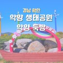 퍼플꽃순이 이미지