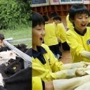 여주-0817 이미지