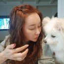 행복만두 이미지