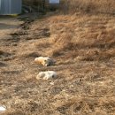 우음도 에코뮤지엄 이미지