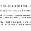 백본 휘트니스 이미지