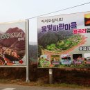 청풍호반낚시터 네이버블로그