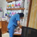 그린프라자 | 시흥 정왕동 동물병원 12년째 찐 단골 티모,나르의 평생 주치의 애니온동물병원 대기시간꿀팁포함