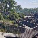 중문대포주상절리대 이미지