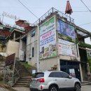 펫빌리지 이미지