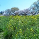 올리브의원 이미지