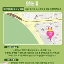 용산아트홀 대극장 미르 이미지