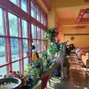 허브나무 이미지