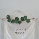 지금;여기서행복할것 이미지