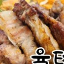 육터