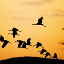 흐르는물 이미지