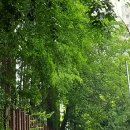 갈울근린공원 이미지