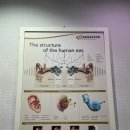 서면보청기 이미지