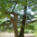 고승농장 이미지