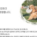 (주)애니언파크 이미지