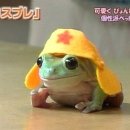 뜨러와