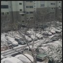 행정사배월수사무소 이미지