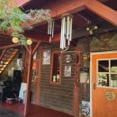 산속비버스 이미지