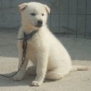 잠시 쉬어 이미지