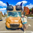 자유여행일본어 | 후쿠오카 자유여행 패키지 노옵션 단독 일정 만족 후기