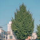 세븐일레븐종로창성점 이미지