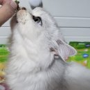 더주스 주식회사 이미지