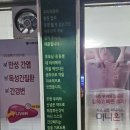 참약사순수약국 네이버블로그