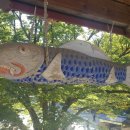 세파에 따르지 이미지