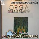 씨유 기흥백현마을점 | [용인] 올가드림뷰티 동백백현마을점 기흥 피부관리 진정관리 솔직후기