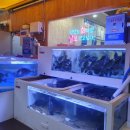 박영철 사시미 이미지