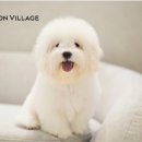 코튼빌리지 부산본점 이미지