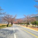 나전중학교 | [캠핑 일기 9] 동강전망 자연휴양림 캠핑장 16번 1박 2일 후기🏕