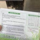 오성웅내과의원 이미지