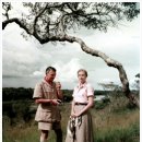 밀밭에서 이미지