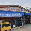 해성속초물회회센타 이미지