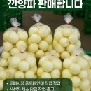 농수산물도매시장 채소1동_1 이미지