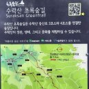 홍가네동태찜 이미지