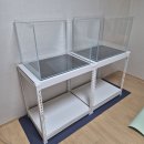 끼우자 | 2자 광폭 어항 세팅하기🐟 | 상면여과기 처음 사용해 본 후기