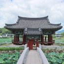 유등연지 둘레길 이미지