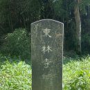 만연사, 자복사, 정약용의 동림사, 괘불, 최상준미술관