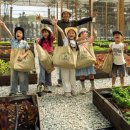 추구농장 | 여행 필수 코스 , 달라팜(Dala Farm)에서 채소 수확부터 열대 정글 카페까지 ,한 번에 다 되는 농장 체험