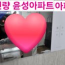 윤성비디오 이미지