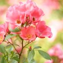 블루벤치 이미지